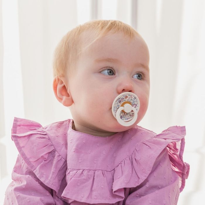 Пустушка  BIBS 6-18 m LIBERTY Chamomile Lawn - Violet Sky Mix,  2 шт