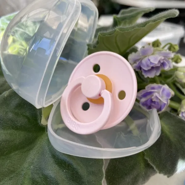 Пустушка BIBS 0-6 міс Colour Blossom