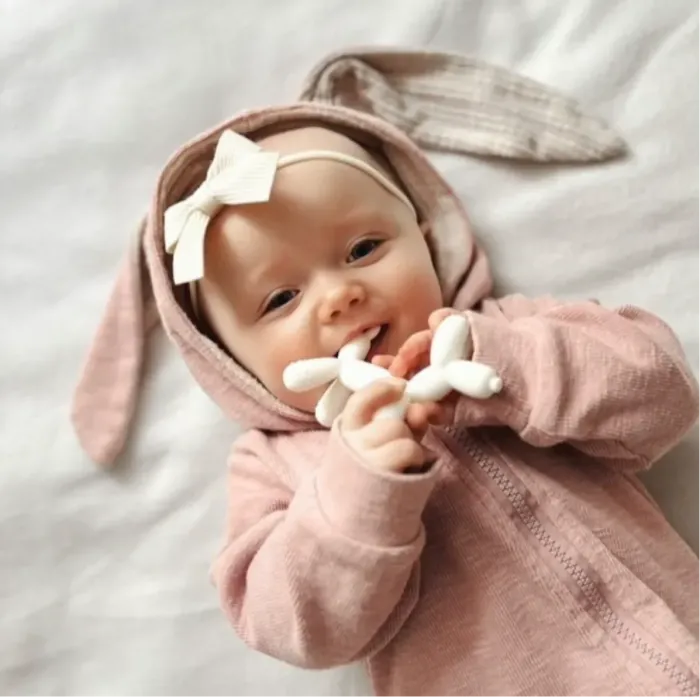 Силіконовий гризунець HEORSHE Puppy Pink