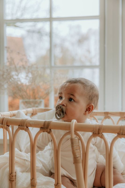 Пустушка BIBS 0-6 міс Boheme  Dark Oak