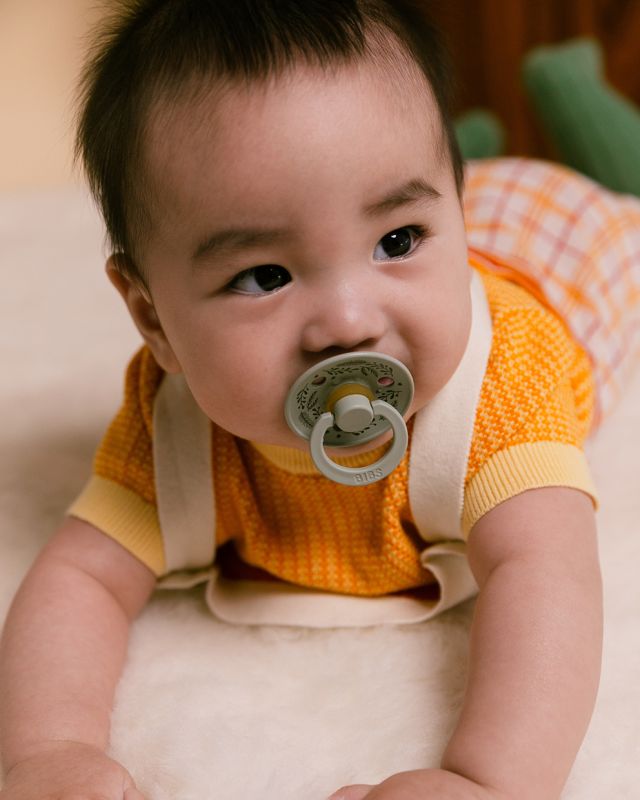 Пустушка BIBS 0-6 m Pacifier Colour Holiday Leaf Latex Round (кругла) – Sage Hunter Green
