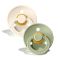 Пустушка BIBS 6-18 m Colour Latex Ivory/Sage, 2 шт